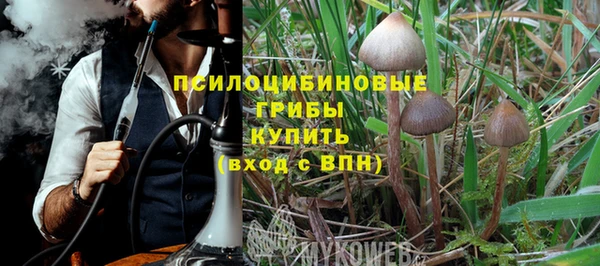 мдпв Рославль