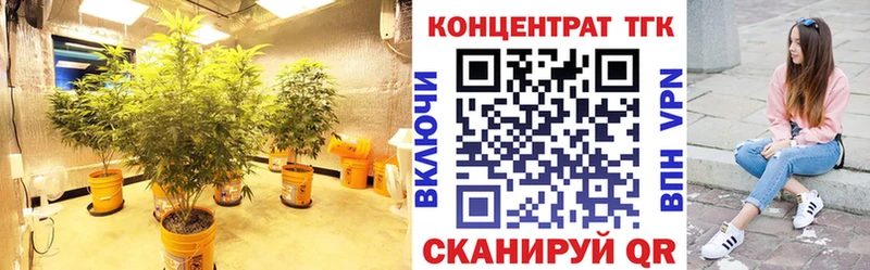 Дистиллят ТГК Wax  Ливны 