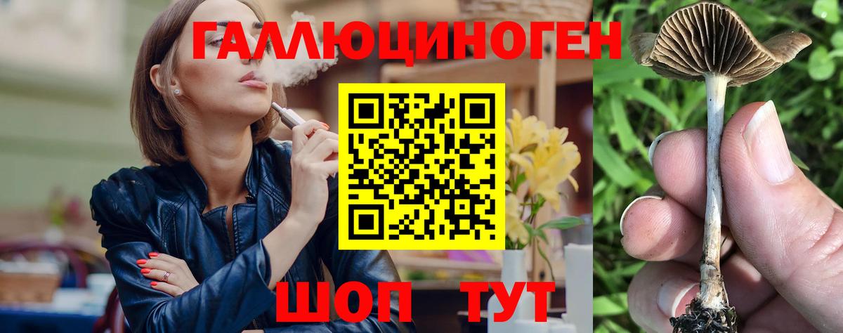 цена   Вход с VPN  Псилоцибиновые грибы Psilocybe  Ливны  Галлюциногенные грибы мицелий 